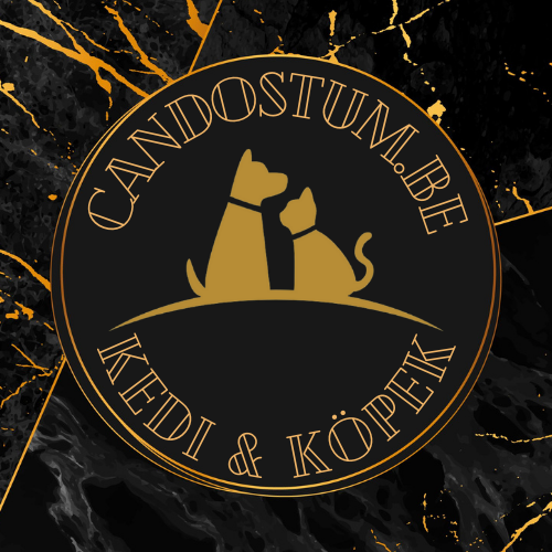 Candostum.be